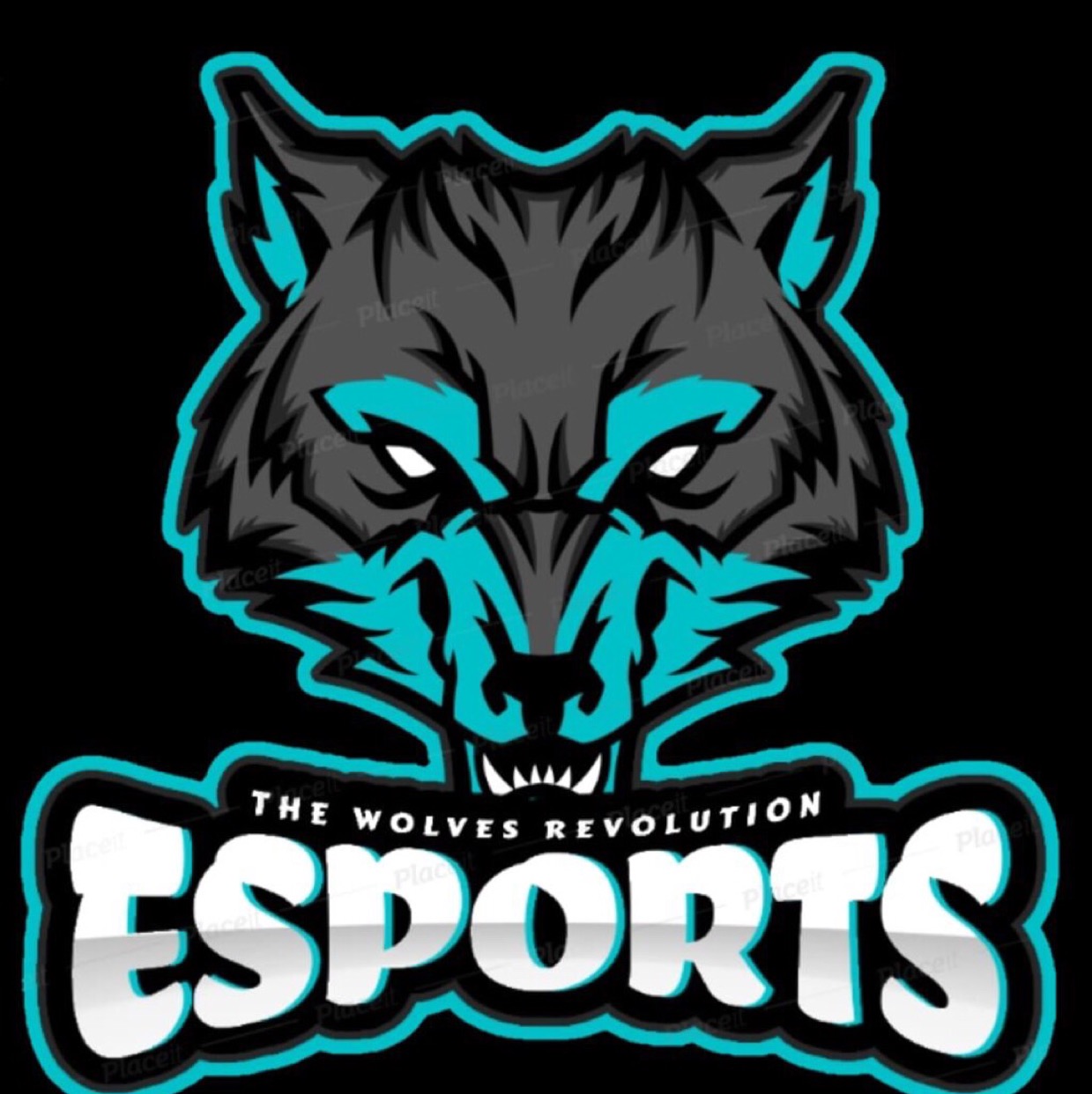 PR esports 