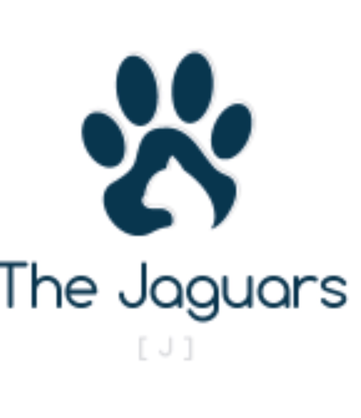 the jaguars