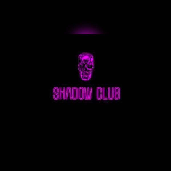 Shadow Organization