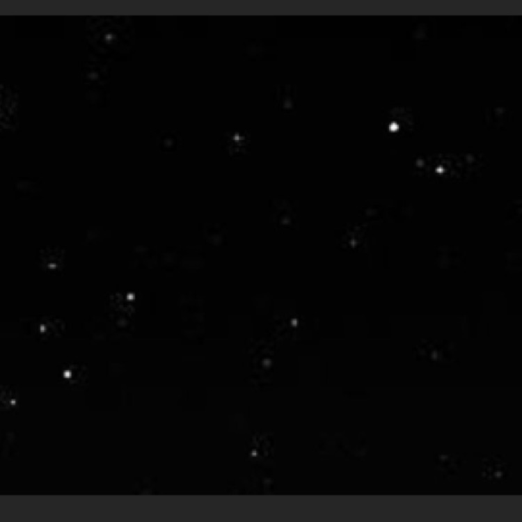 Invitation Banner