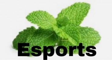 NgnagEsport