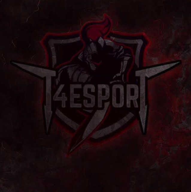 target 4 e-sports