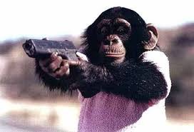 MonKey Stylle