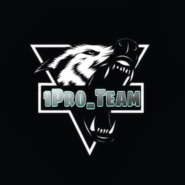 1Pro Team