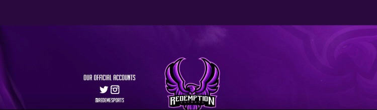 RDT Esports X41