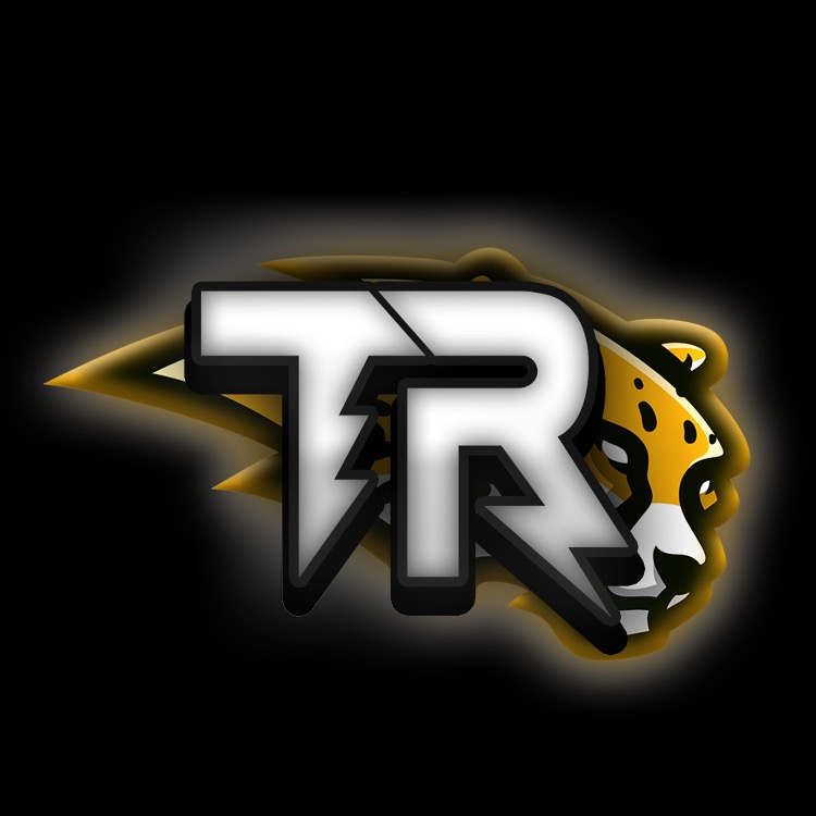 Natus Vincere