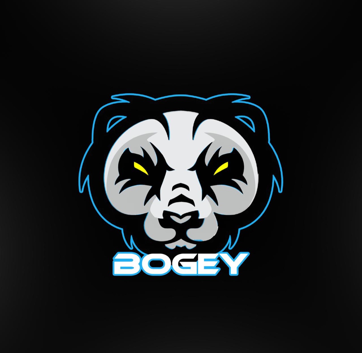BoGeY