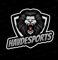 HAVD ESPORTS