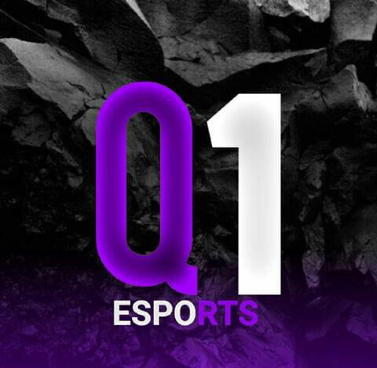1q ESPORT
