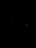 Invitation Banner