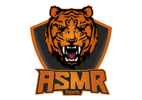 ASMR TEAM MW