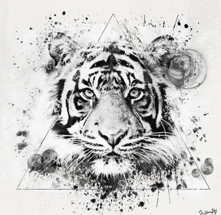 White Tigers 