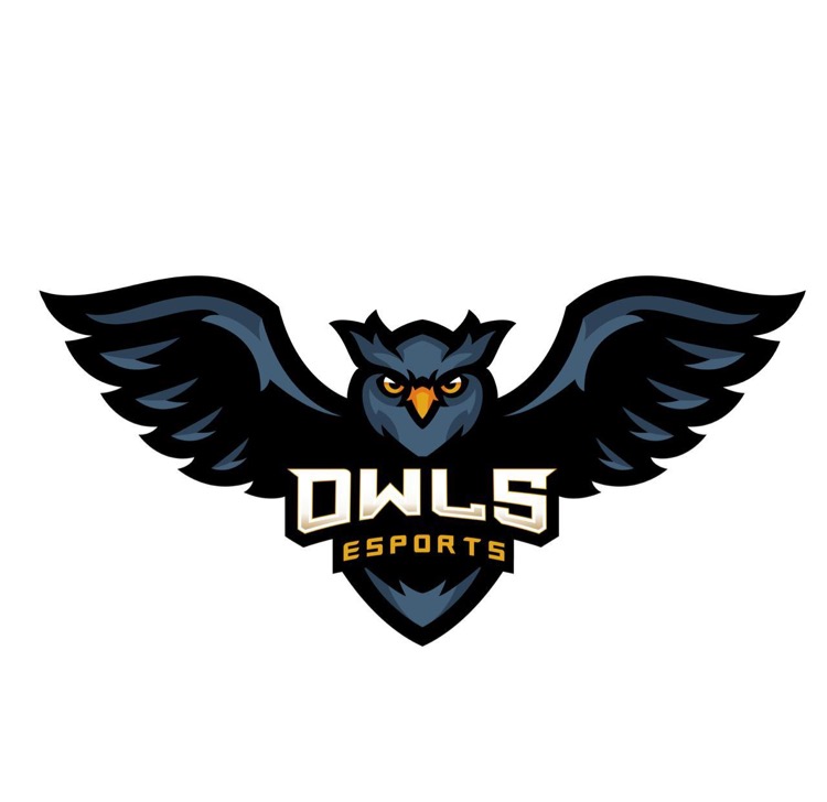 Owl Esports 4