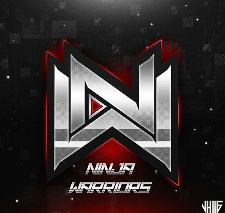 Ninja warriors esports
