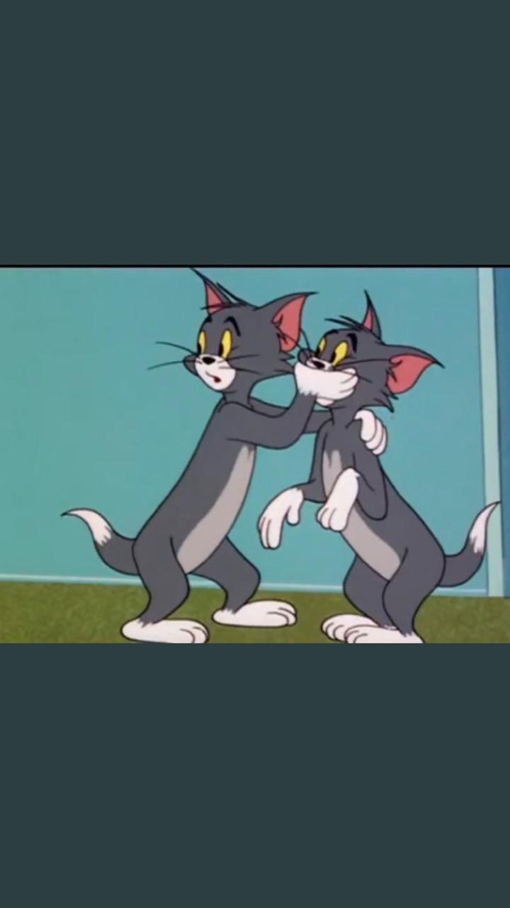 Ninty ninnz