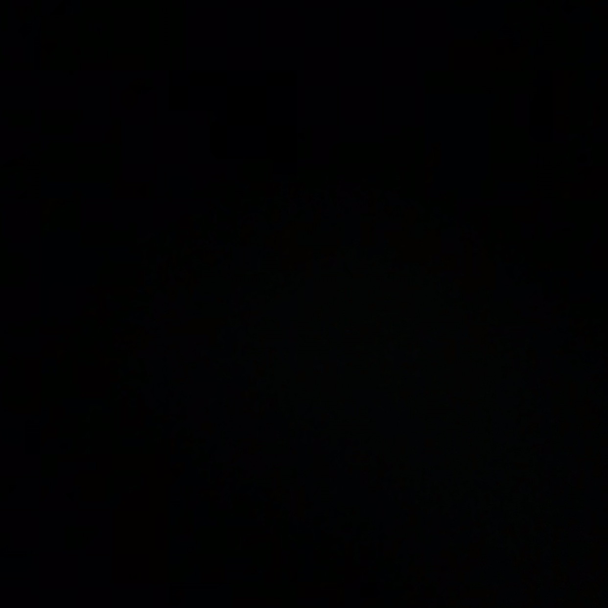 SOM9