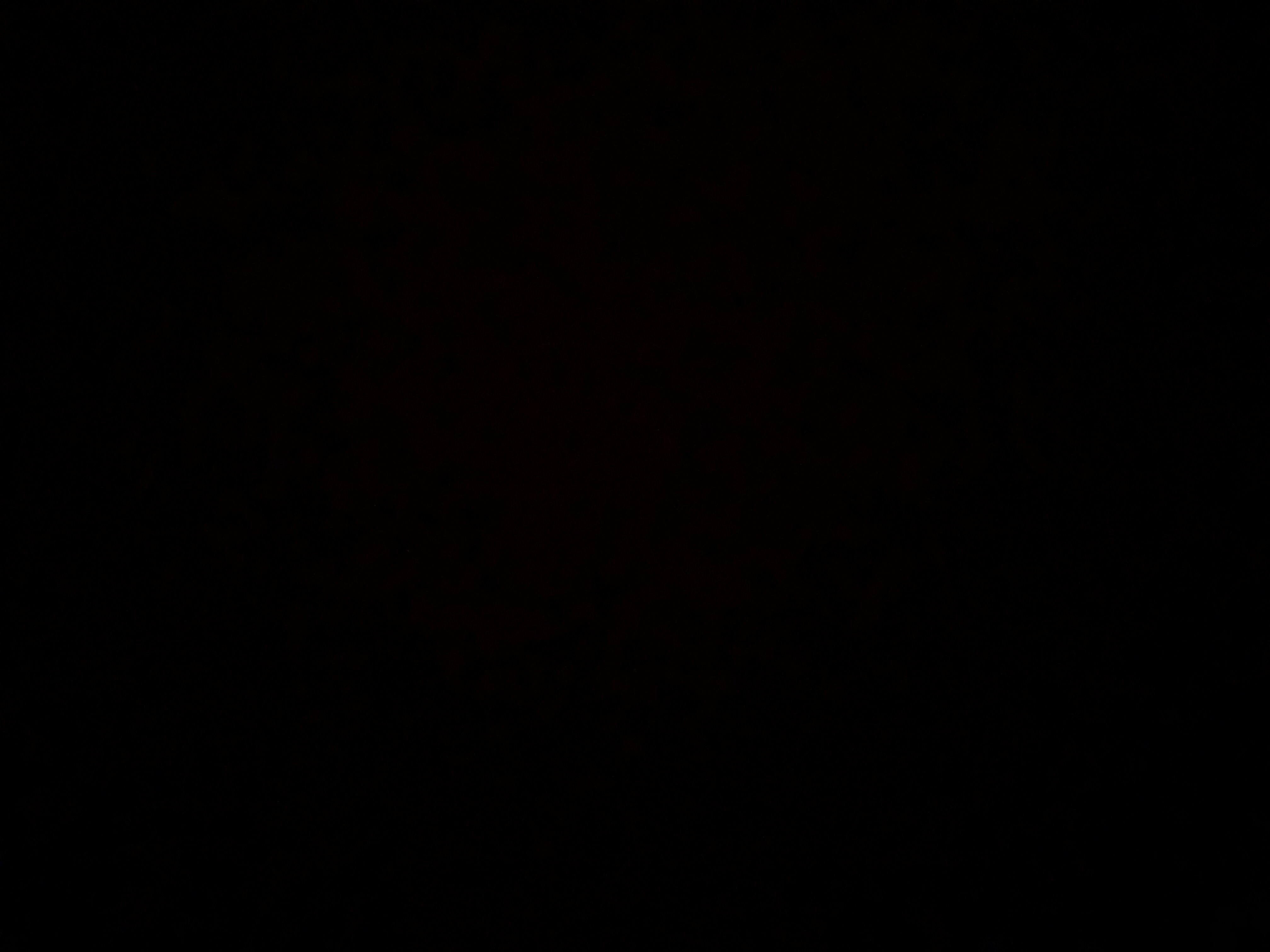 Wolzesports1