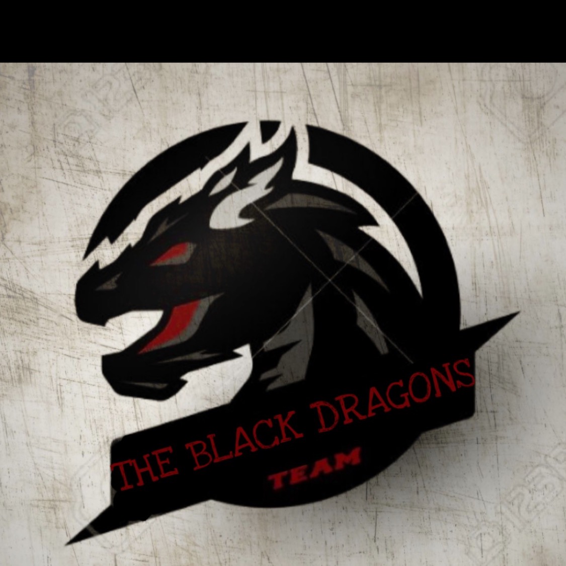THE BLACK DRAGONS