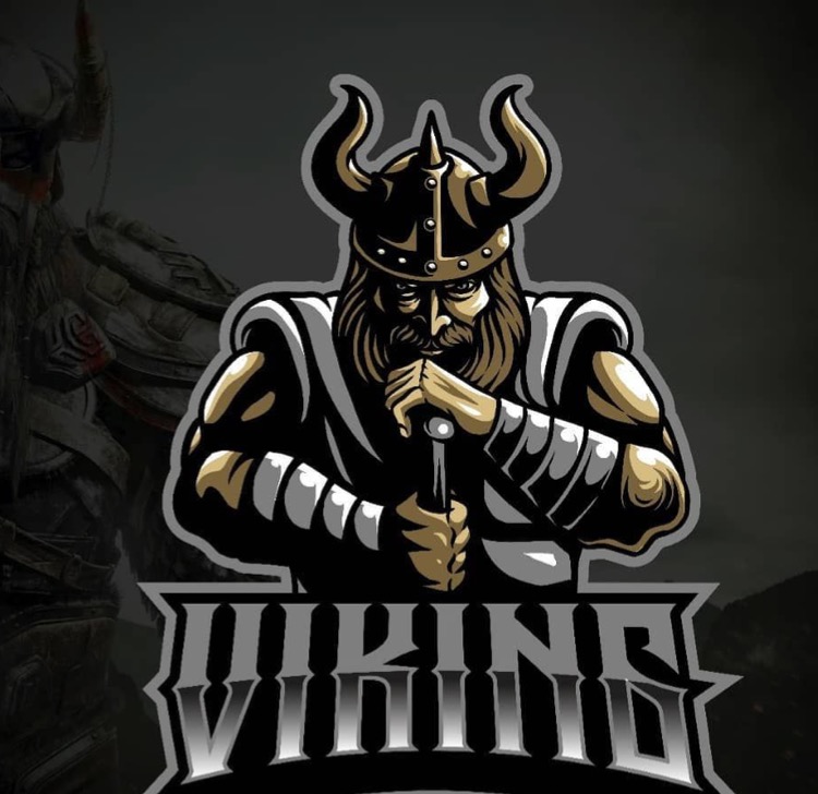 vaykng esport