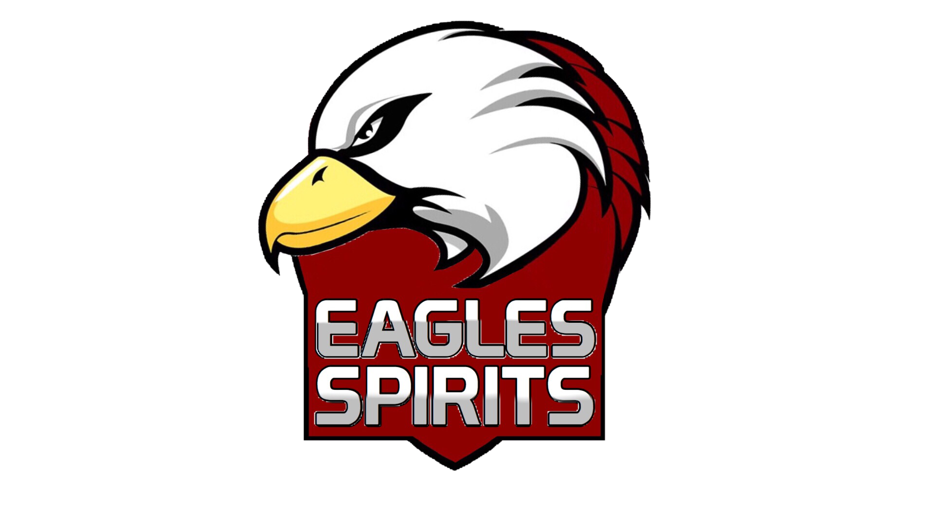 EaglesSpirits