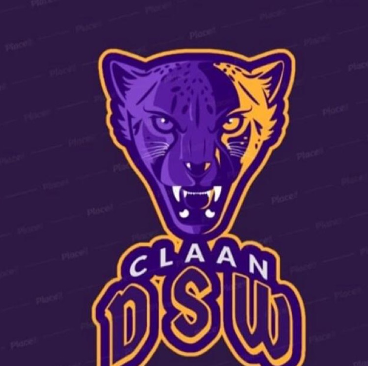 DSW FOT