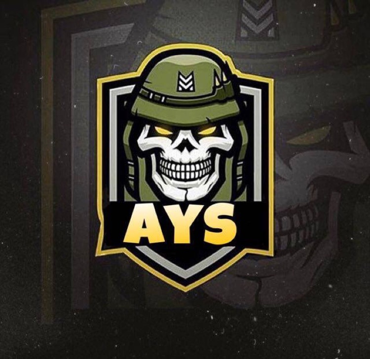 AYS3