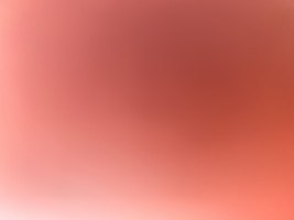Invitation Banner