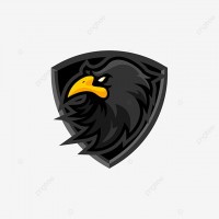 RAVEN TEAM