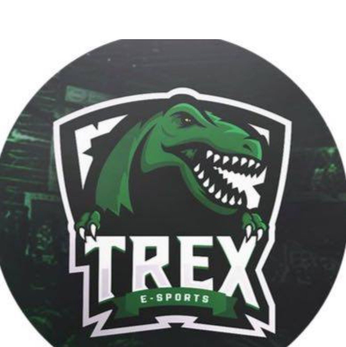 Trex02