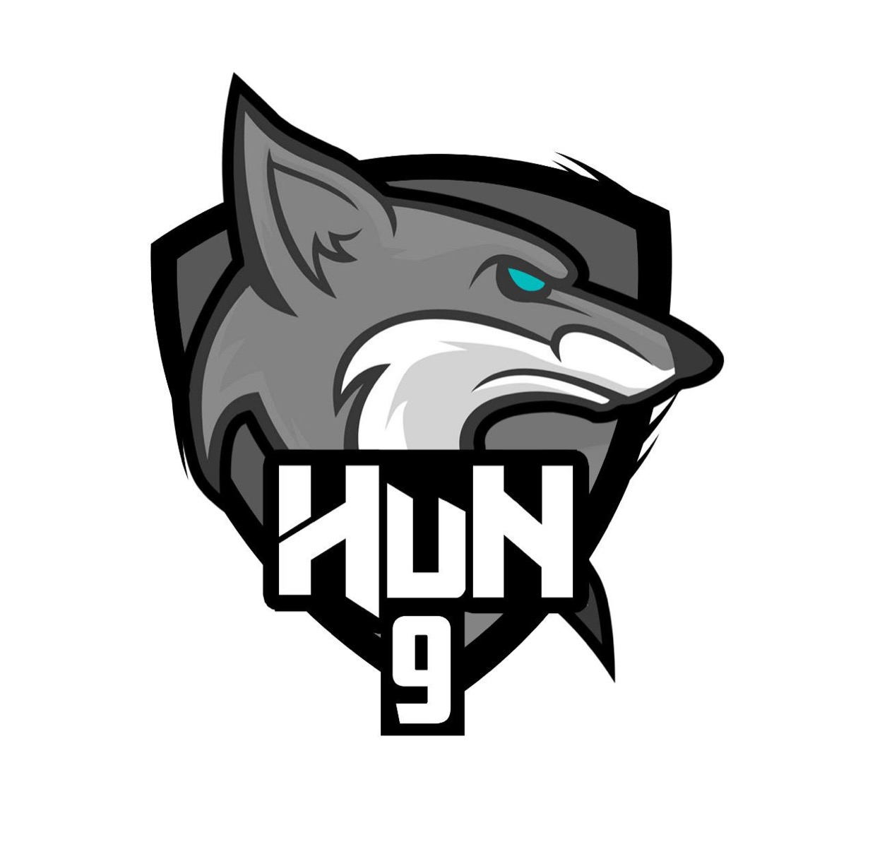 Natus Vincere