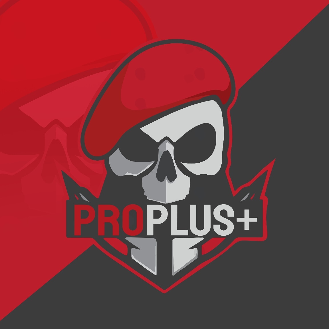 ProPLuS+
