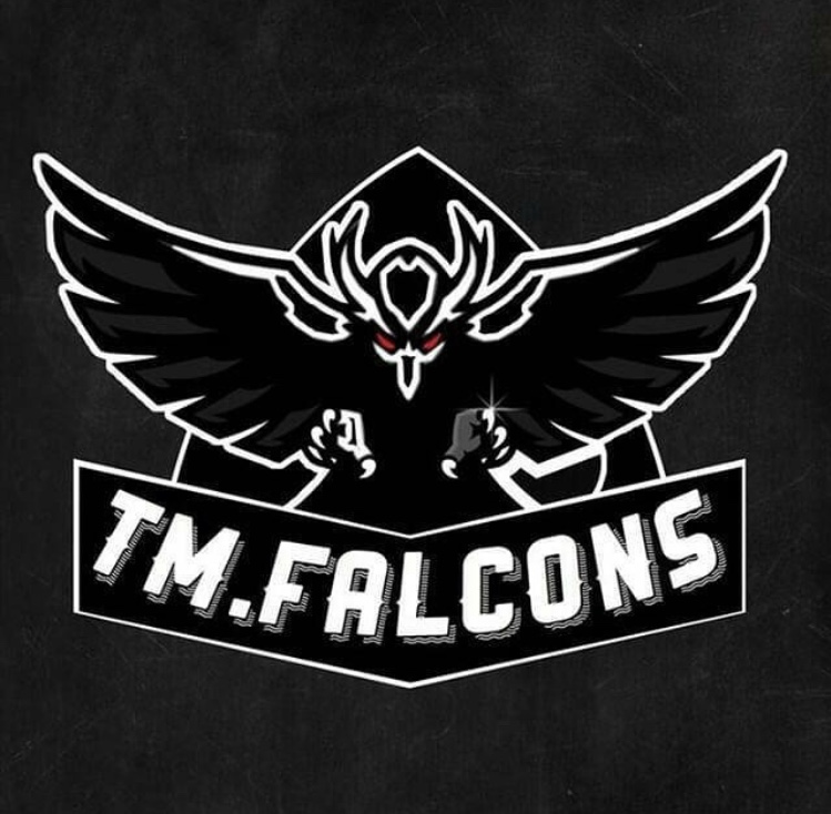 Falconso