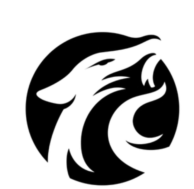 Natus Vincere