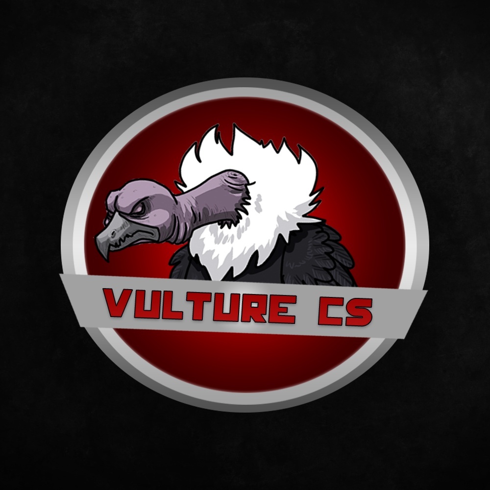 vultures team esport