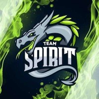teamSPIRIT