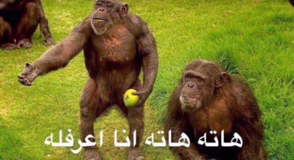 Hath hath ana a3rflh