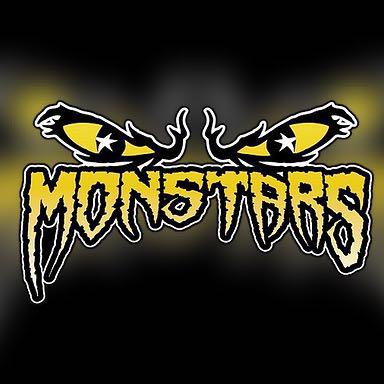 Natus Vincere