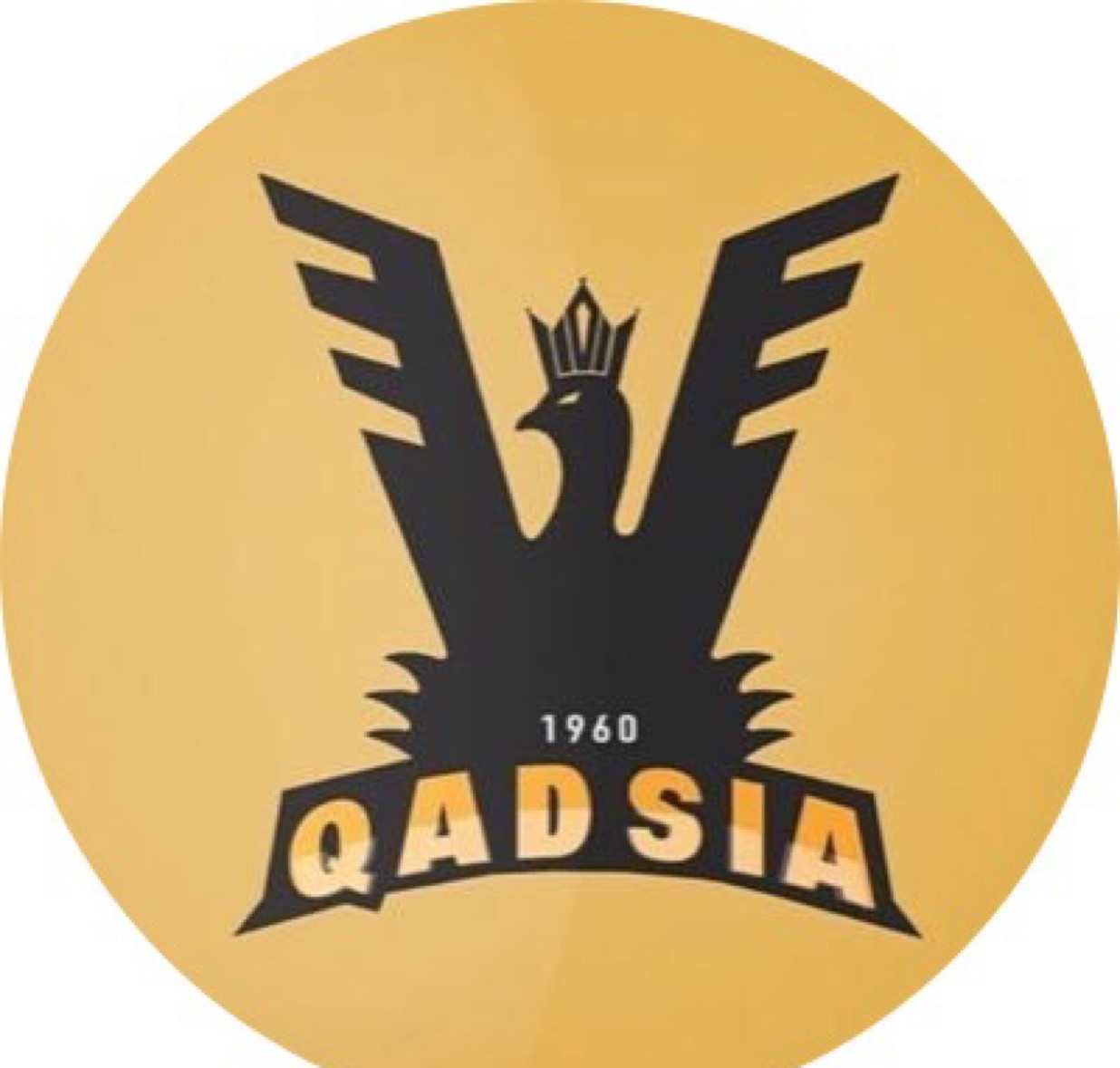 QSD17