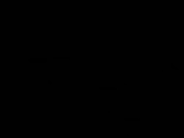 trv.esports909