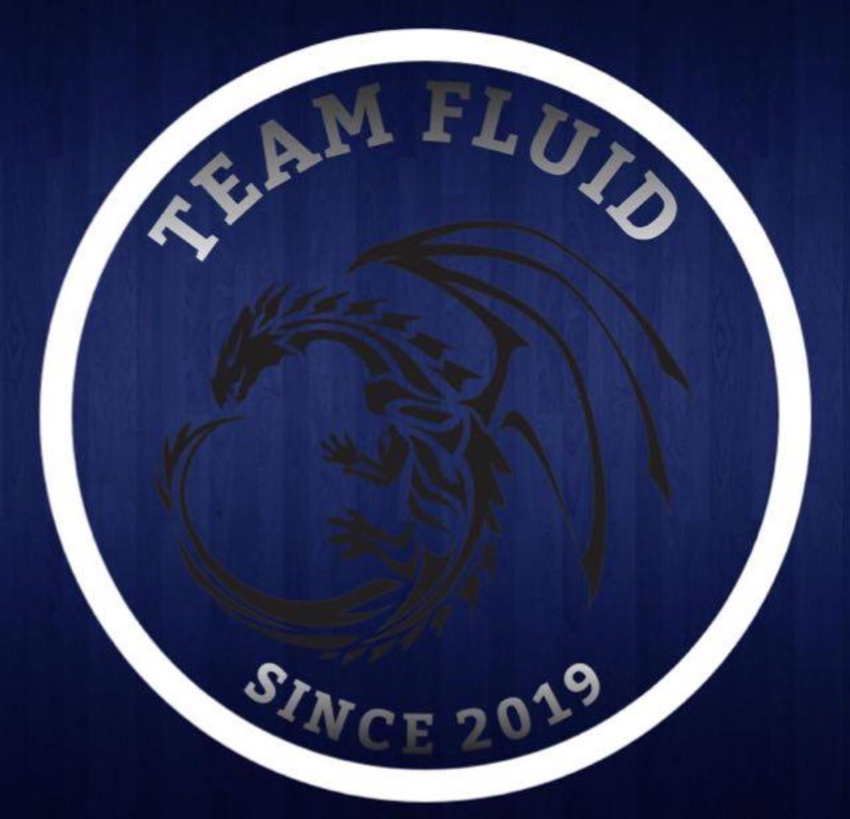 Team Fluid 