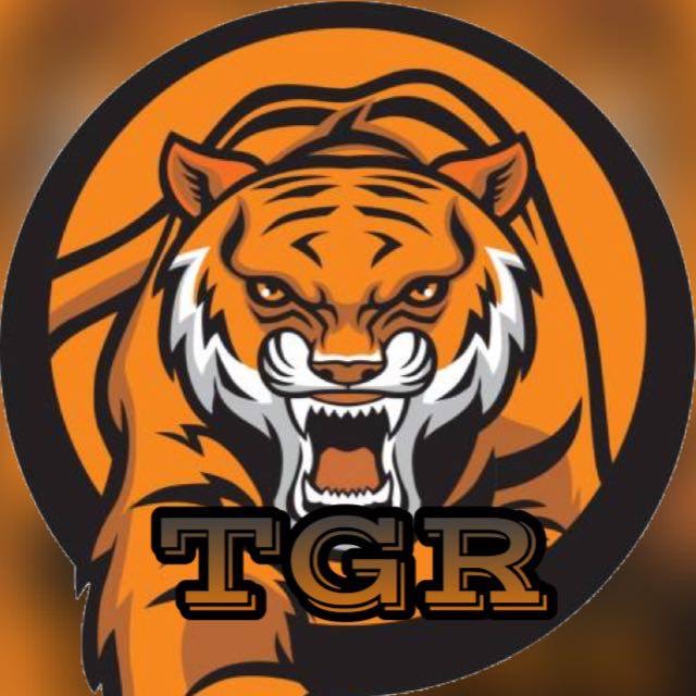 Tigers9