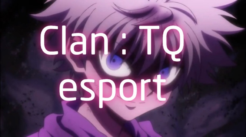 TQesport