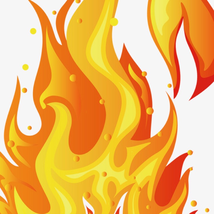 cost fire