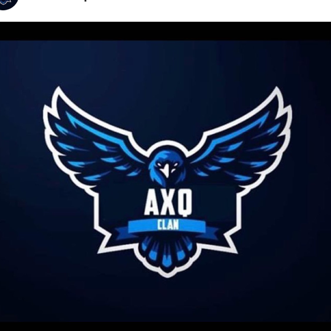 AXQ E-SPORT.