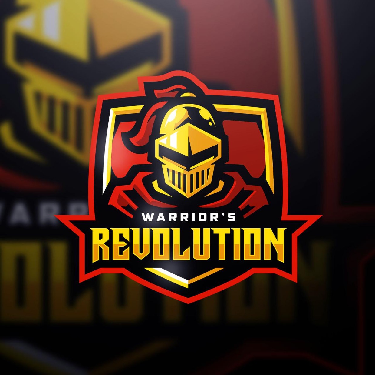 Warriors revolution  1