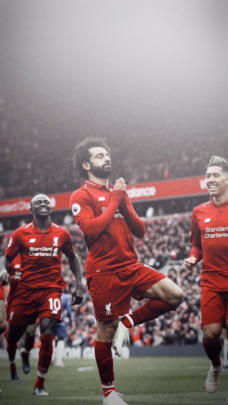 The Phenomenon 