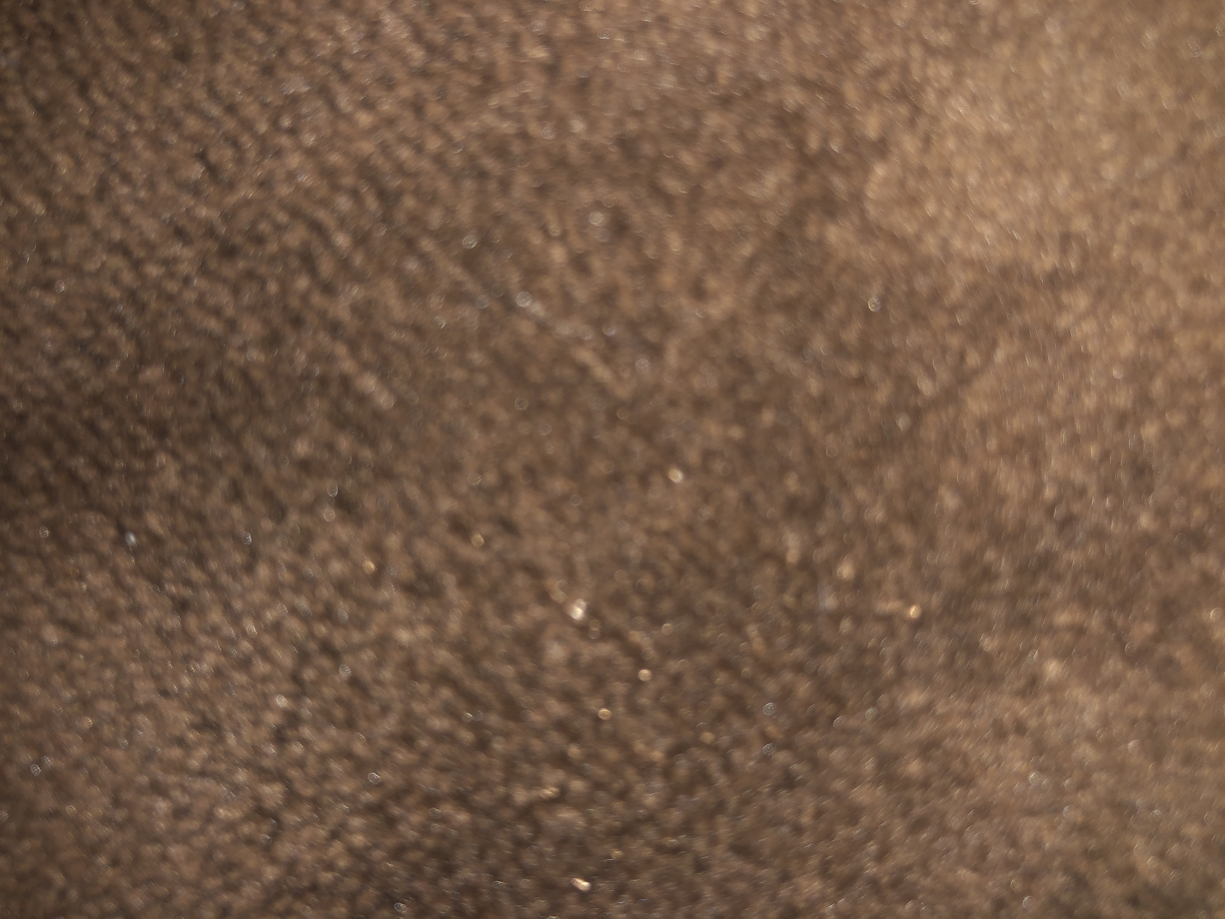 Invitation Banner