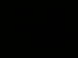 Invitation Banner