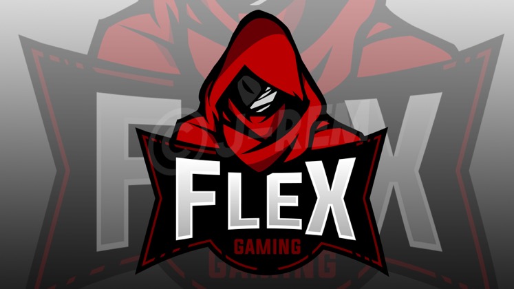 FLXSEport
