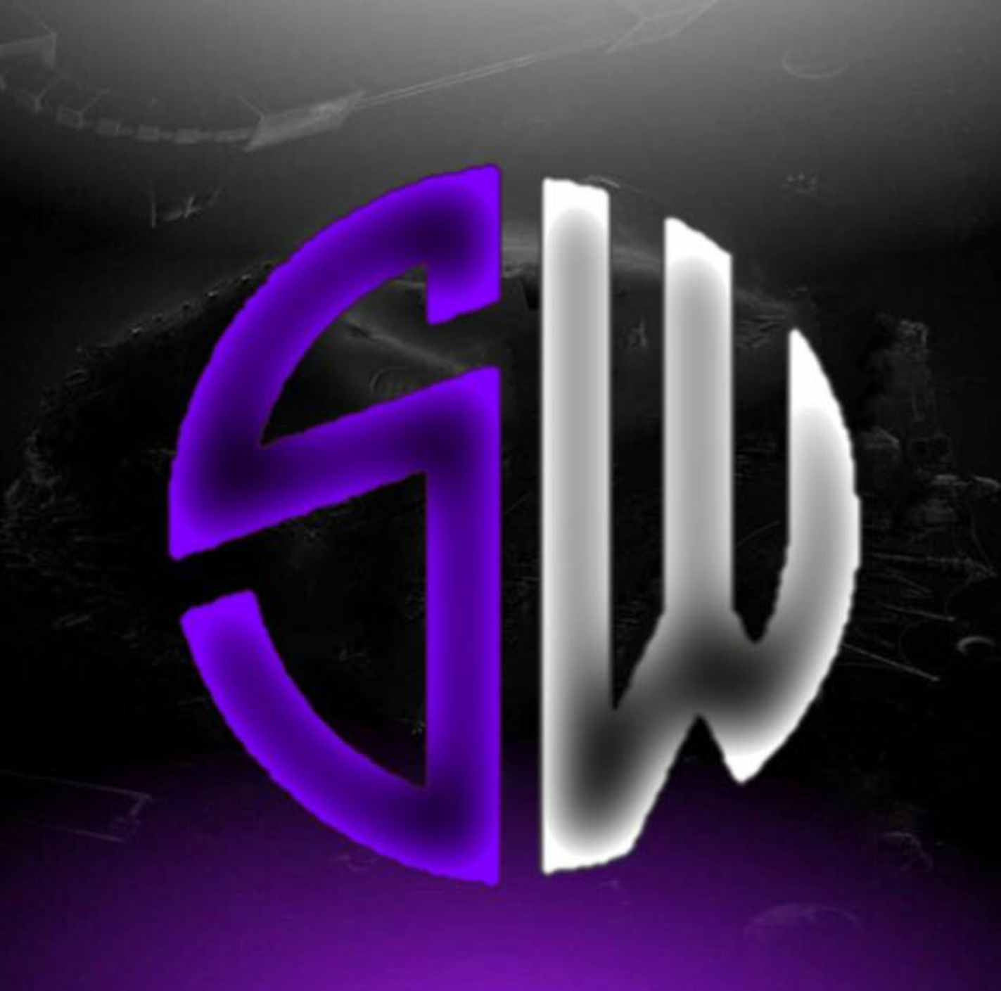 swesporrt